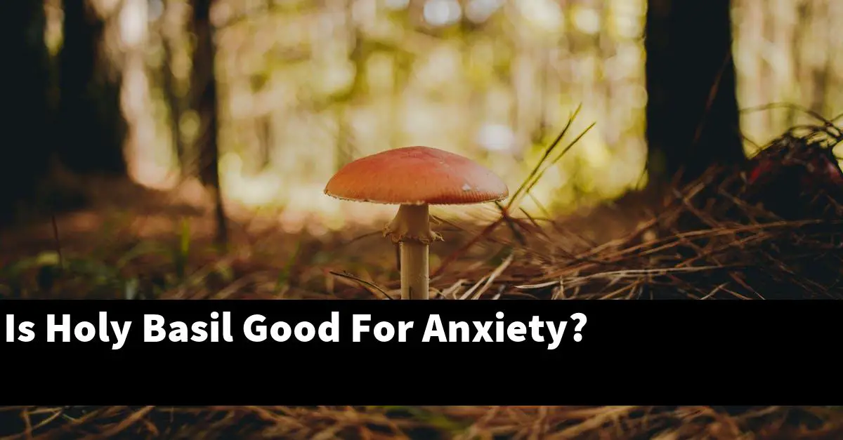 Is Holy Basil Good For Anxiety?