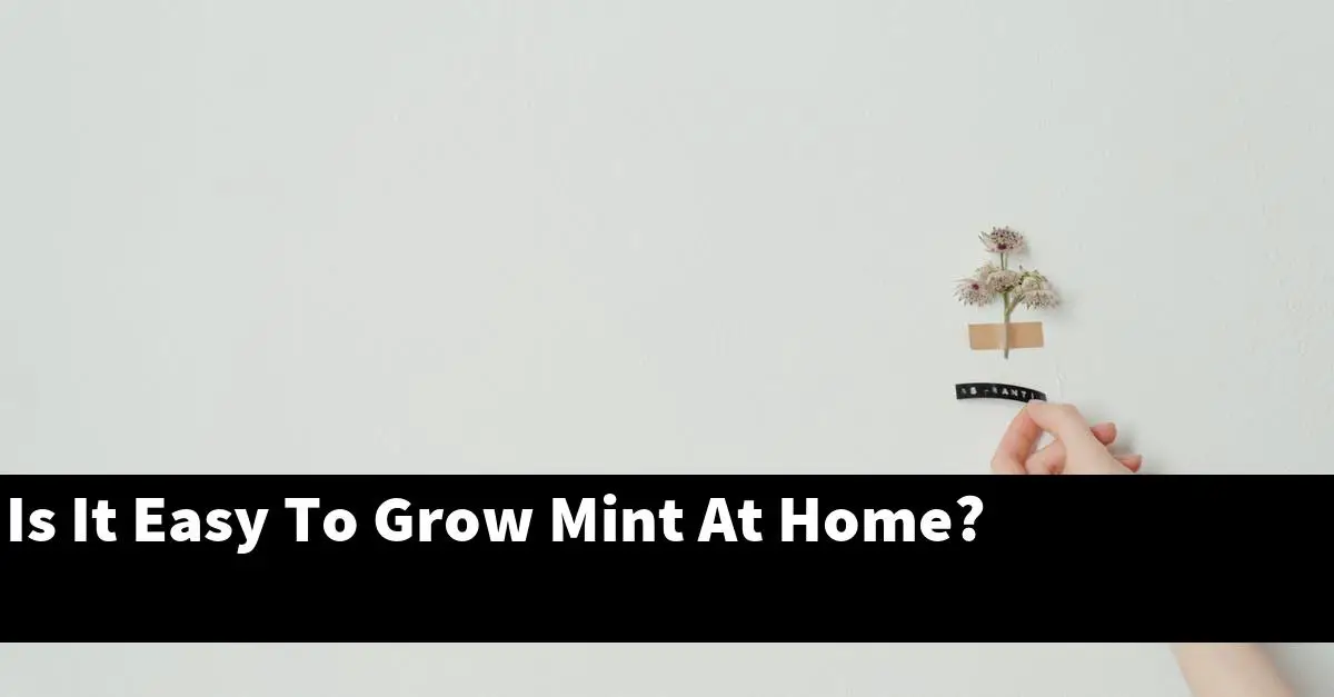 Is It Easy To Grow Mint At Home?