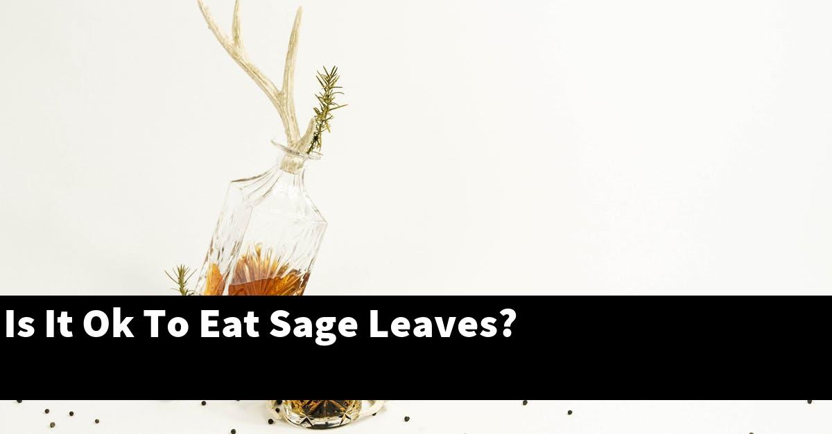 Is It Ok To Eat Sage Leaves?