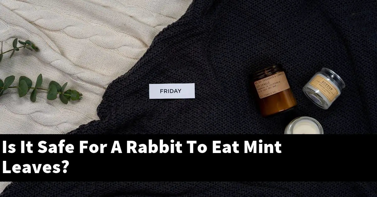 Is It Safe For A Rabbit To Eat Mint Leaves?