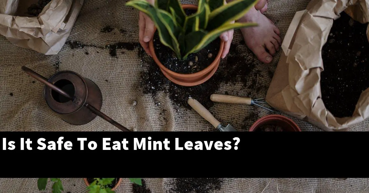 Is It Safe To Eat Mint Leaves?