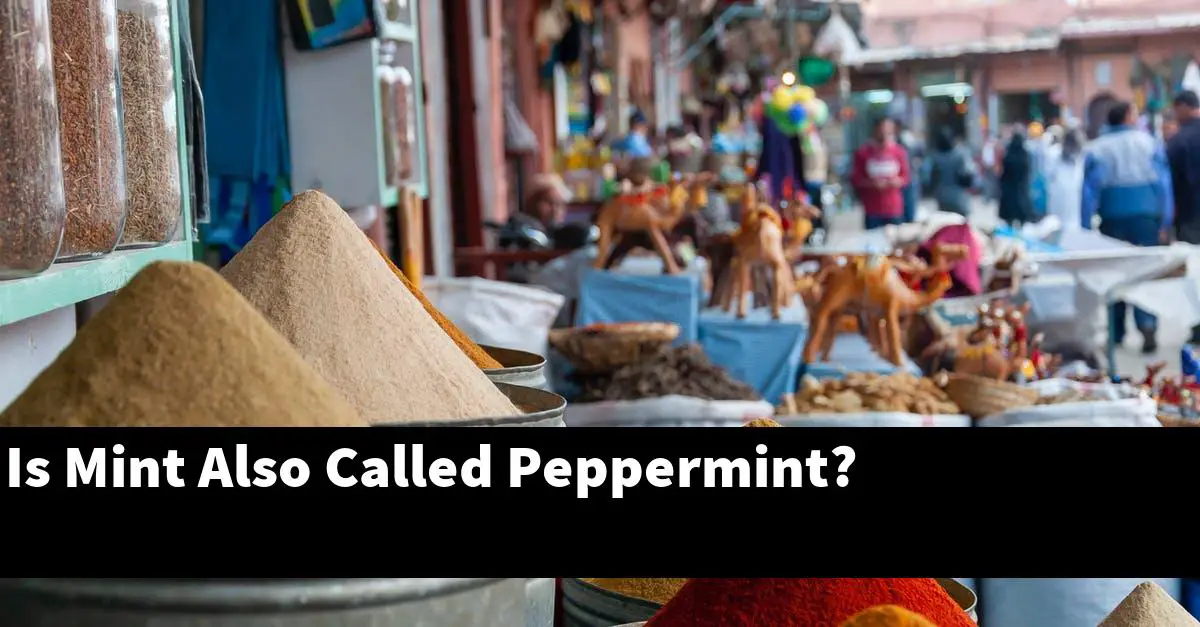 Is Mint Also Called Peppermint?