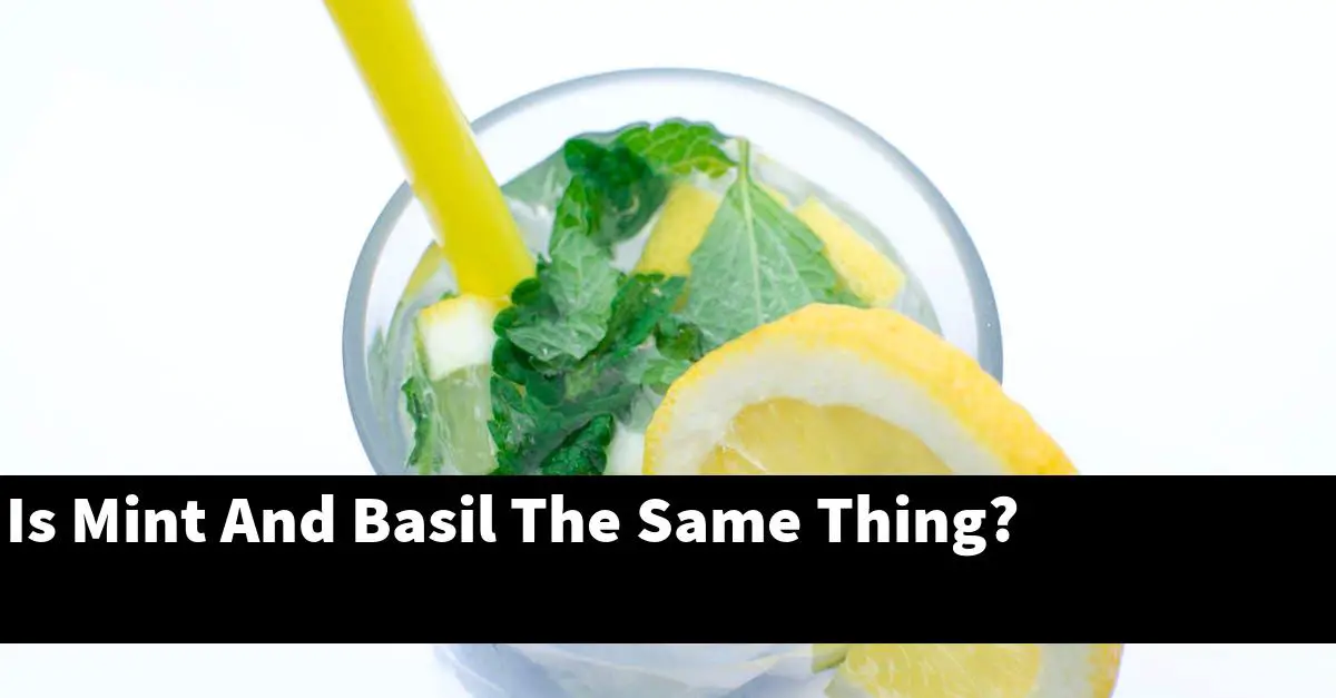 Is Mint And Basil The Same Thing?