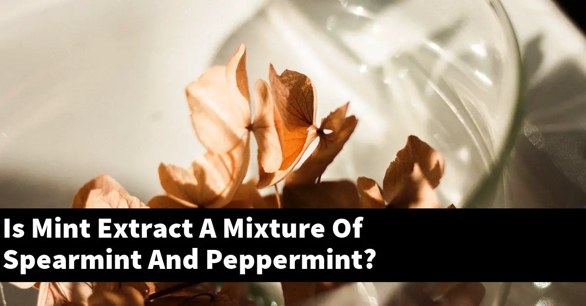 Is Mint Extract A Mixture Of Spearmint And Peppermint?
