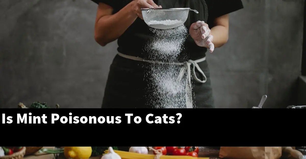 Is Mint Poisonous To Cats?