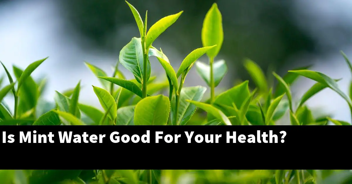 Is Mint Water Good For Your Health?