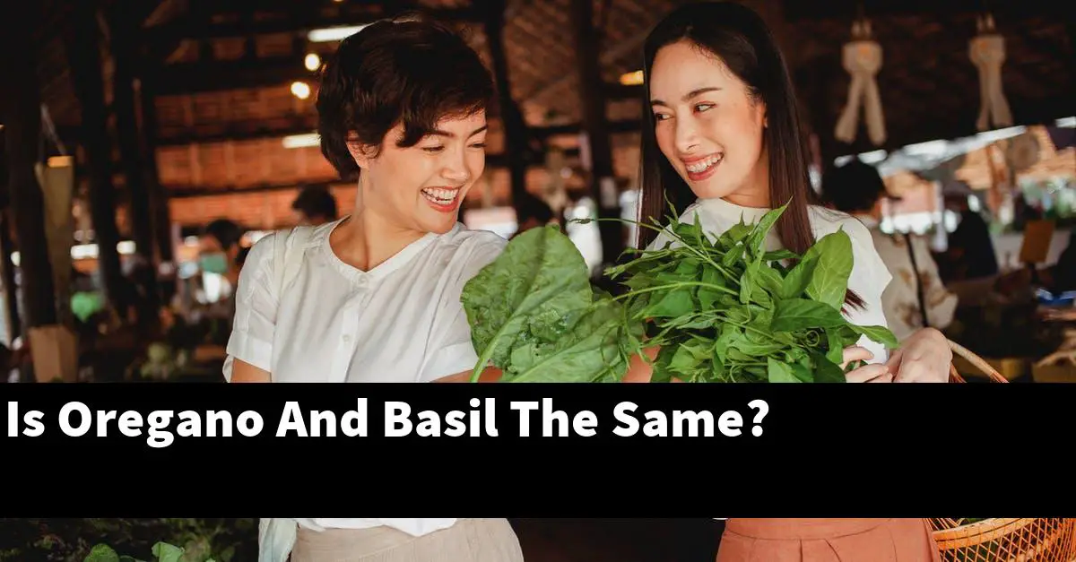 Is Oregano And Basil The Same?