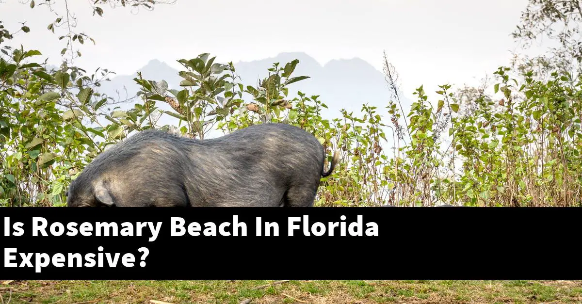 Is Rosemary Beach In Florida Expensive?