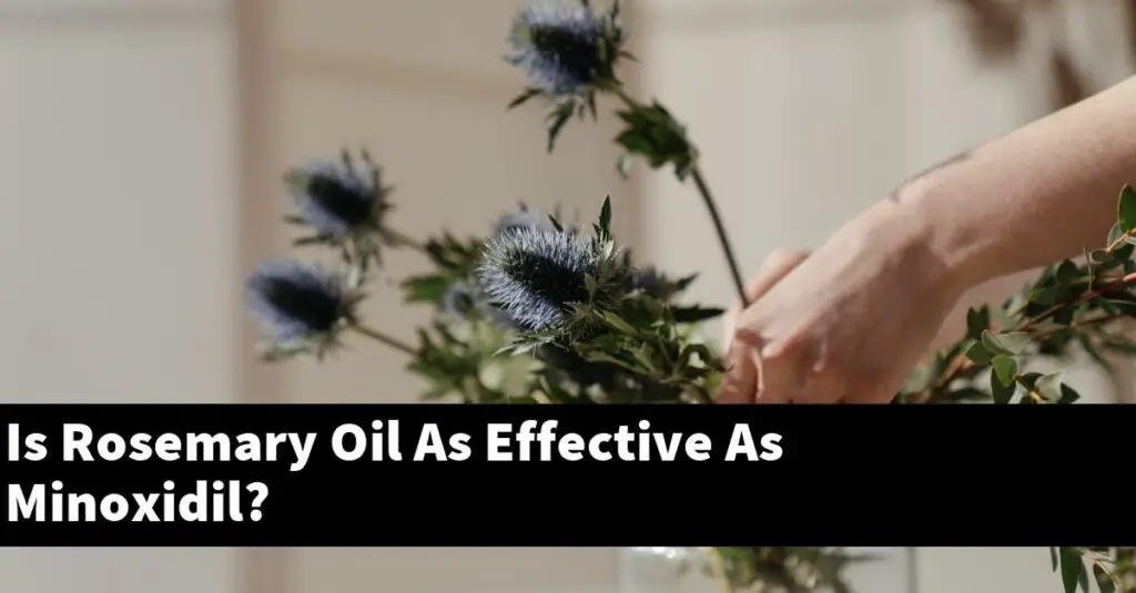 Is Rosemary Oil As Effective As Minoxidil? Outdoor Herb Garden