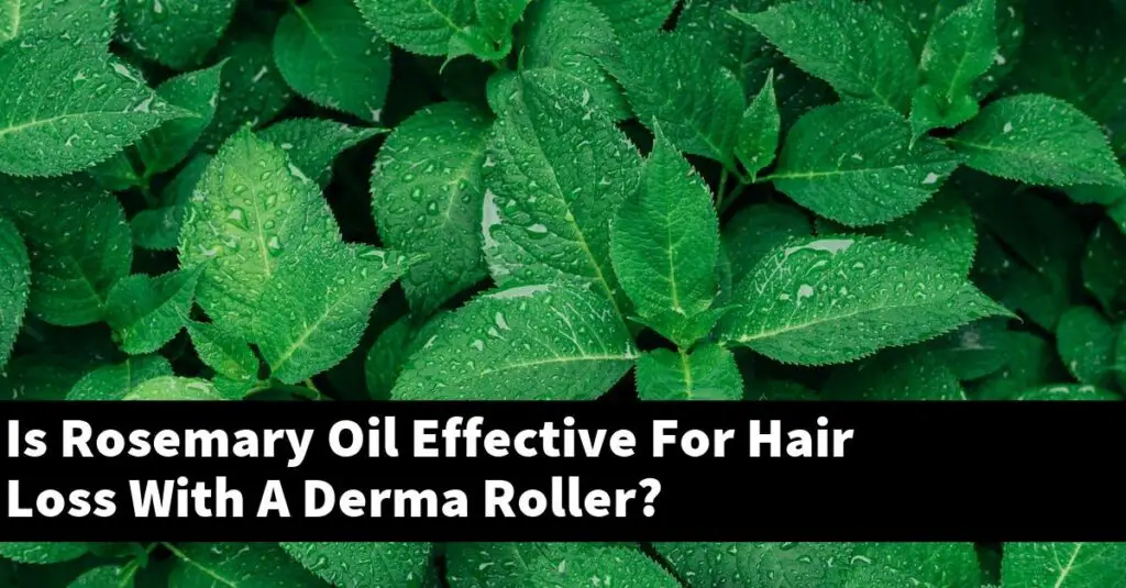 Is Rosemary Oil Effective For Hair Loss With A Derma Roller? Outdoor Herb Garden