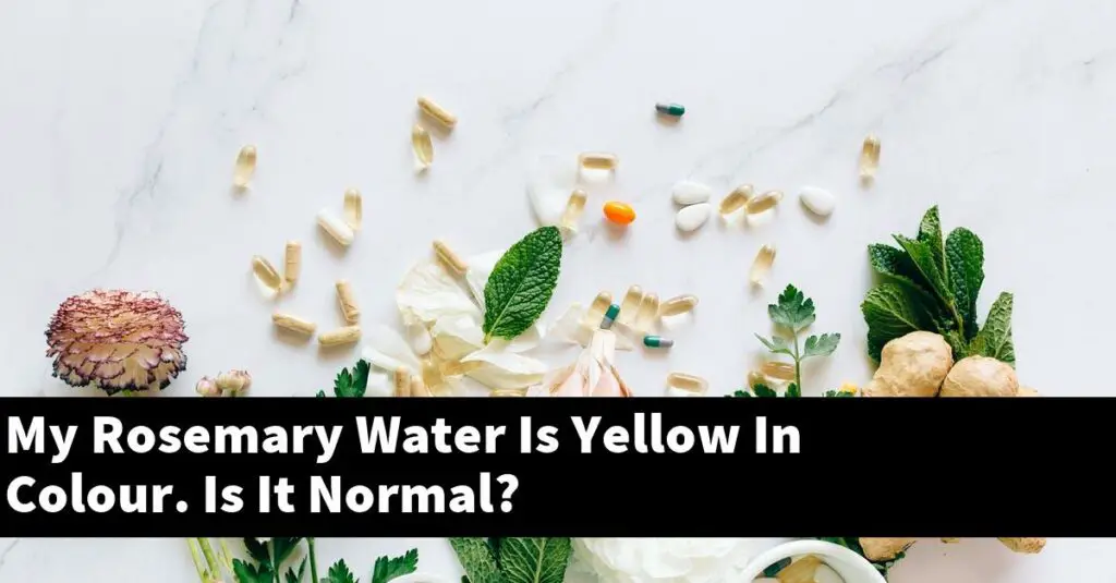 My Rosemary Water Is Yellow In Colour. Is It Normal? Outdoor Herb Garden