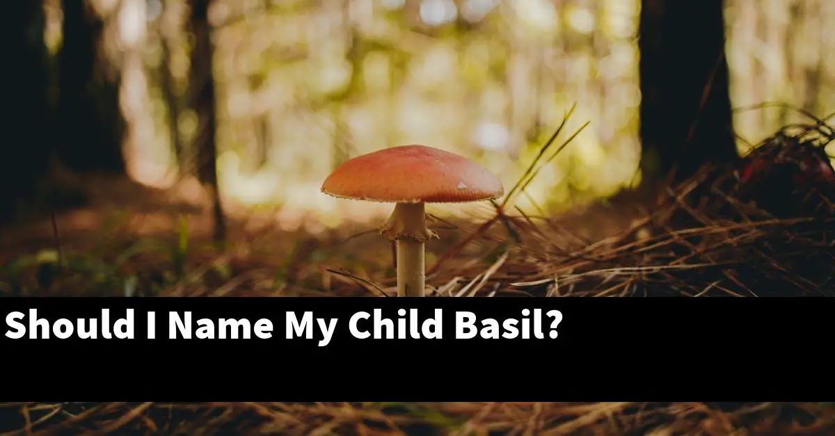 Should I Name My Child Basil?