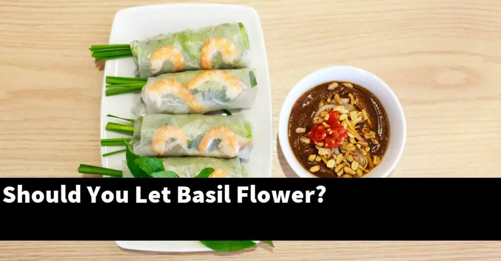 Should You Let Basil Flower? Outdoor Herb Garden