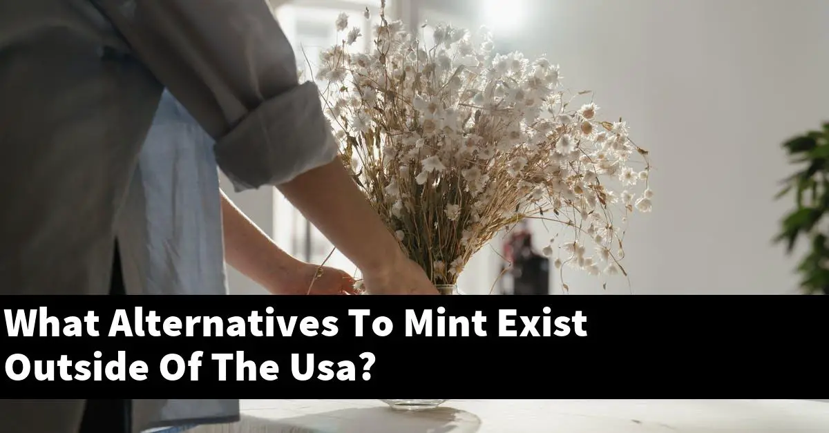 What Alternatives To Mint Exist Outside Of The Usa?