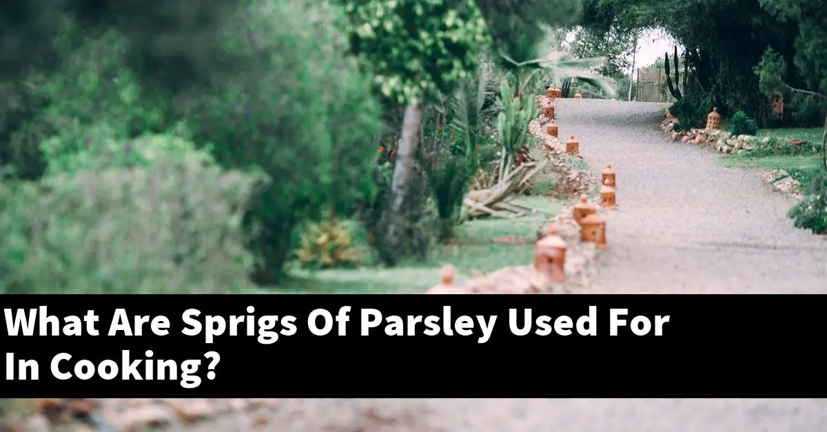 What Are Sprigs Of Parsley Used For In Cooking?