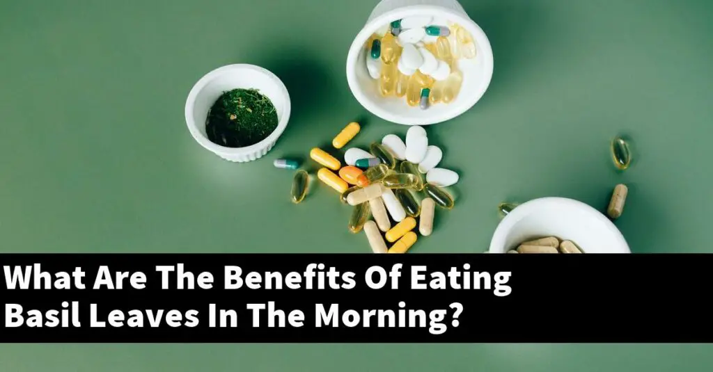 What Are The Benefits Of Eating Basil Leaves In The Morning? Outdoor