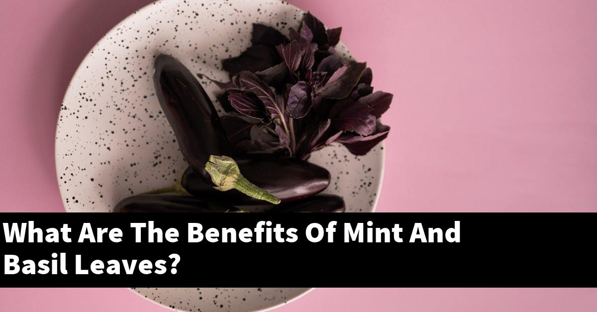 What Are The Benefits Of Mint And Basil Leaves?