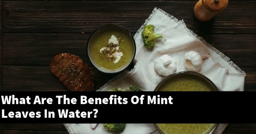 What Are The Benefits Of Mint Leaves In Water? Outdoor Herb Garden
