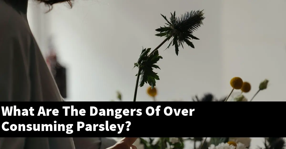 What Are The Dangers Of Over Consuming Parsley?