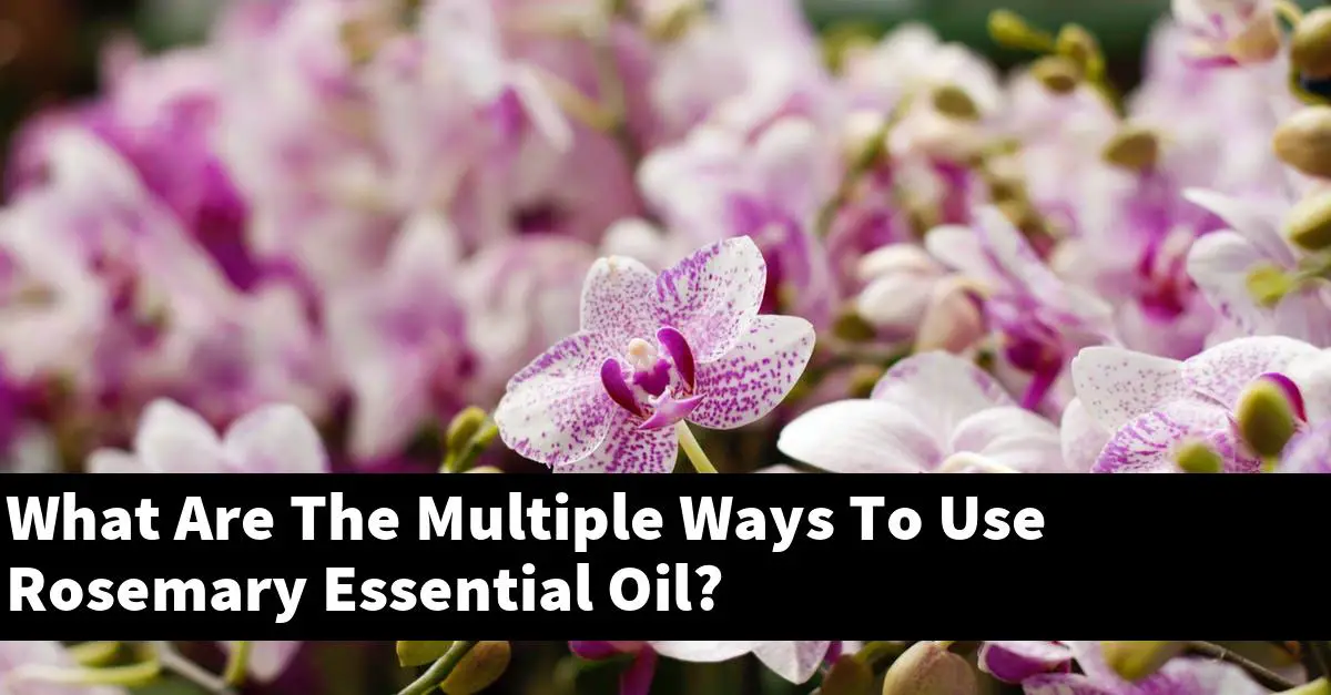 What Are The Multiple Ways To Use Rosemary Essential Oil?