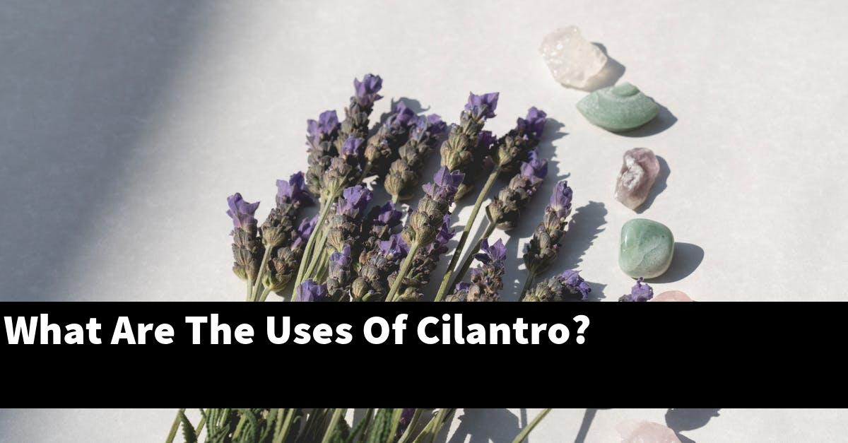 What Are The Uses Of Cilantro?