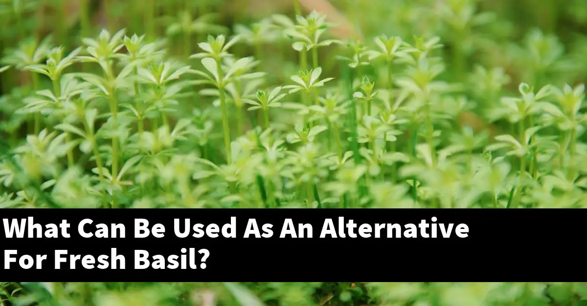 What Can Be Used As An Alternative For Fresh Basil?