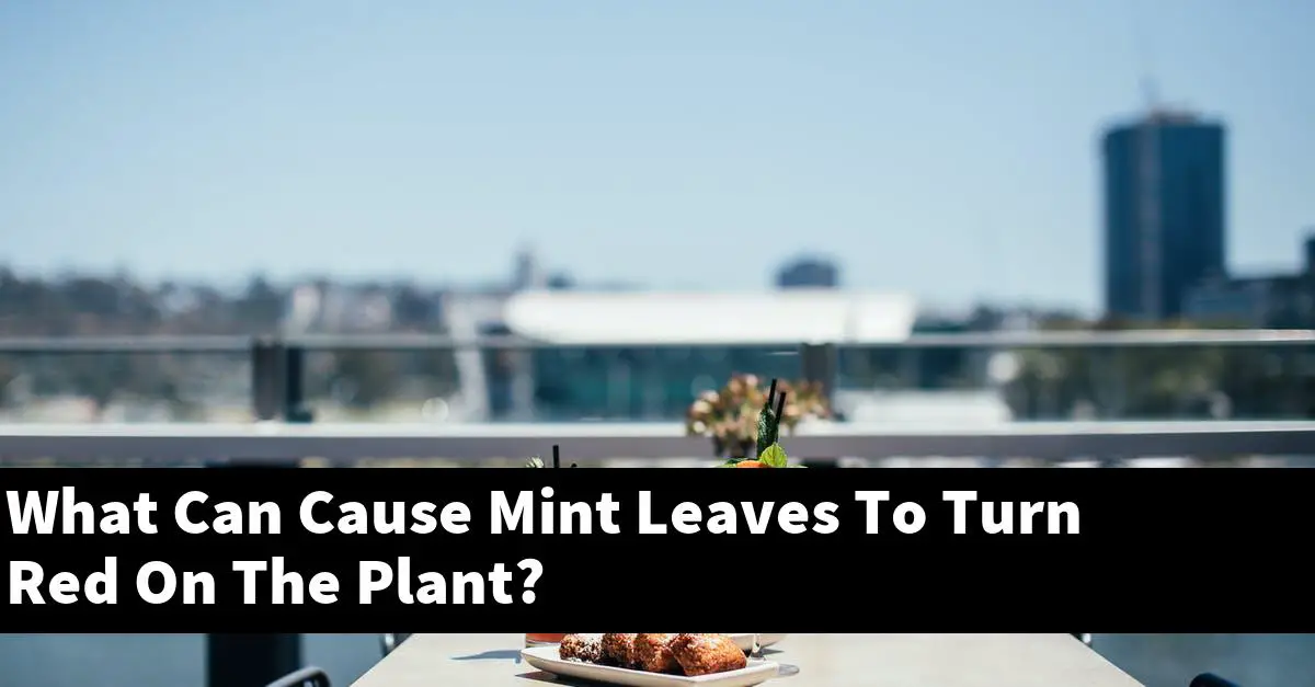 What Can Cause Mint Leaves To Turn Red On The Plant?