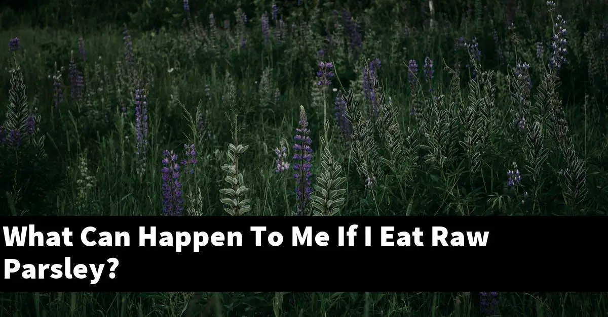 What Can Happen To Me If I Eat Raw Parsley?