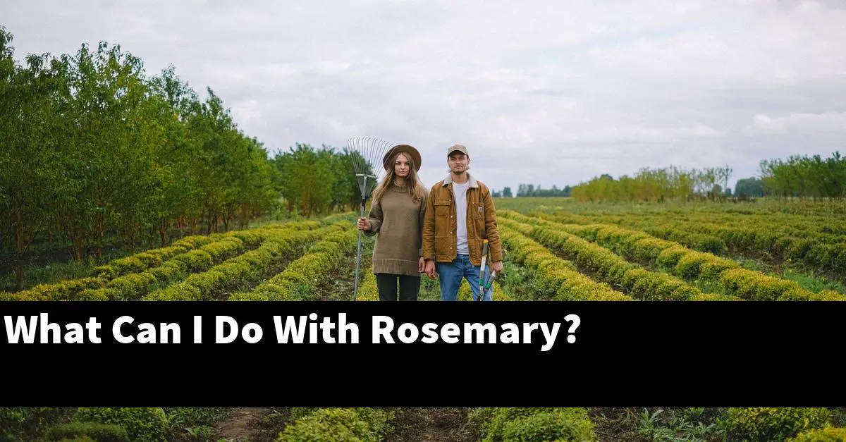 What Can I Do With Rosemary?