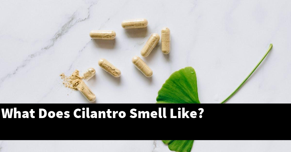 What Does Cilantro Smell Like?