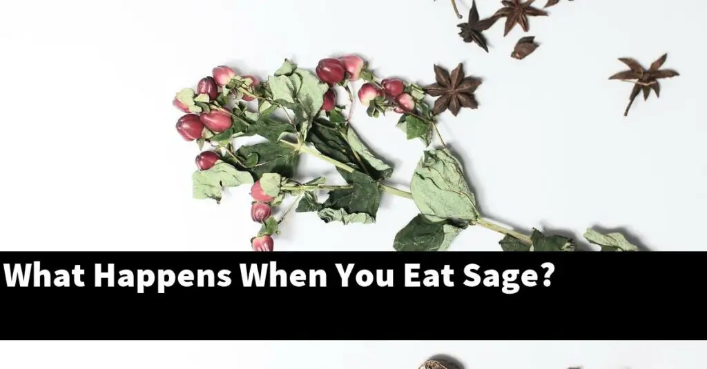 What Happens When You Eat Sage? Outdoor Herb Garden