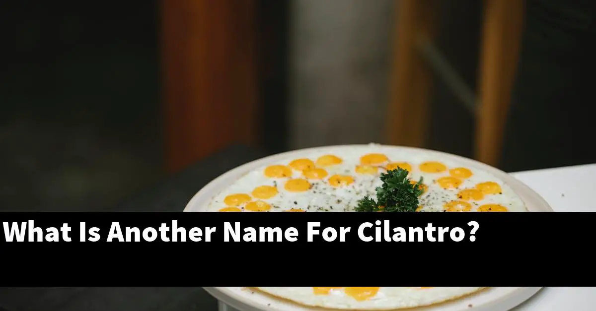 What Is Another Name For Cilantro?