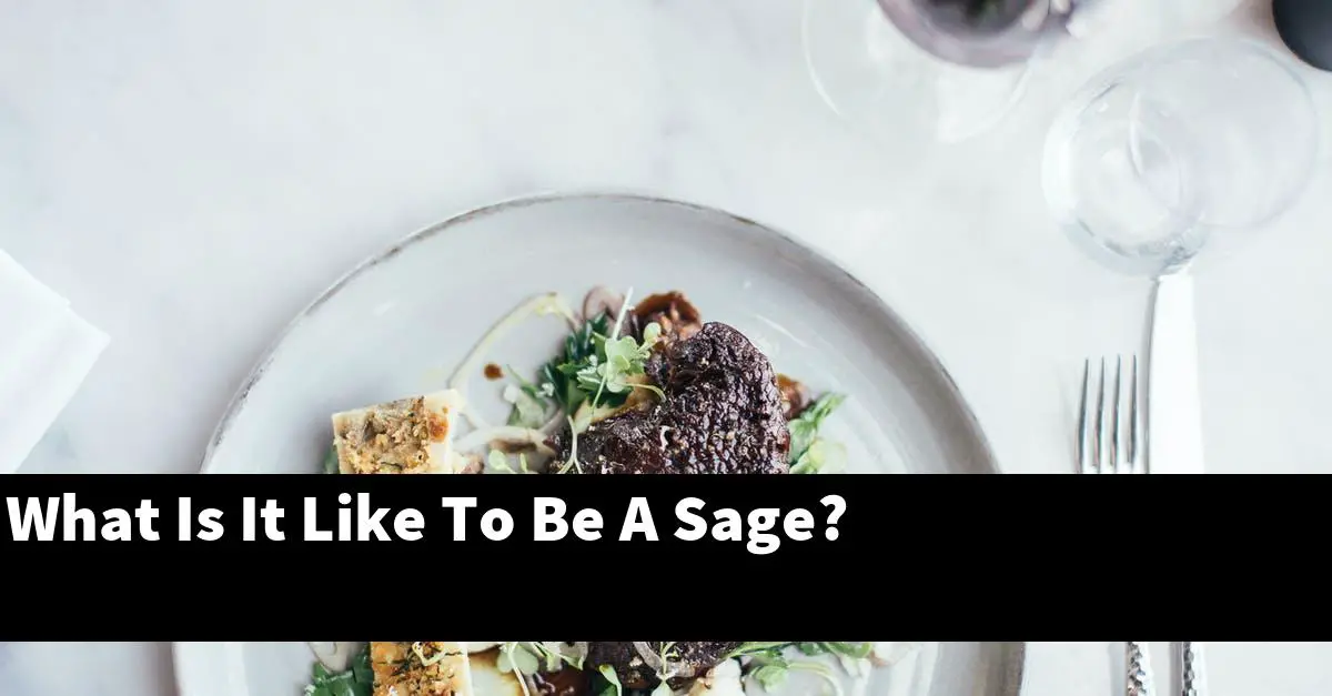 What Is It Like To Be A Sage?
