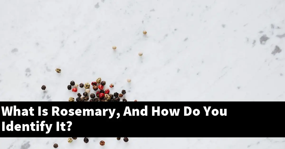 What Is Rosemary, And How Do You Identify It?