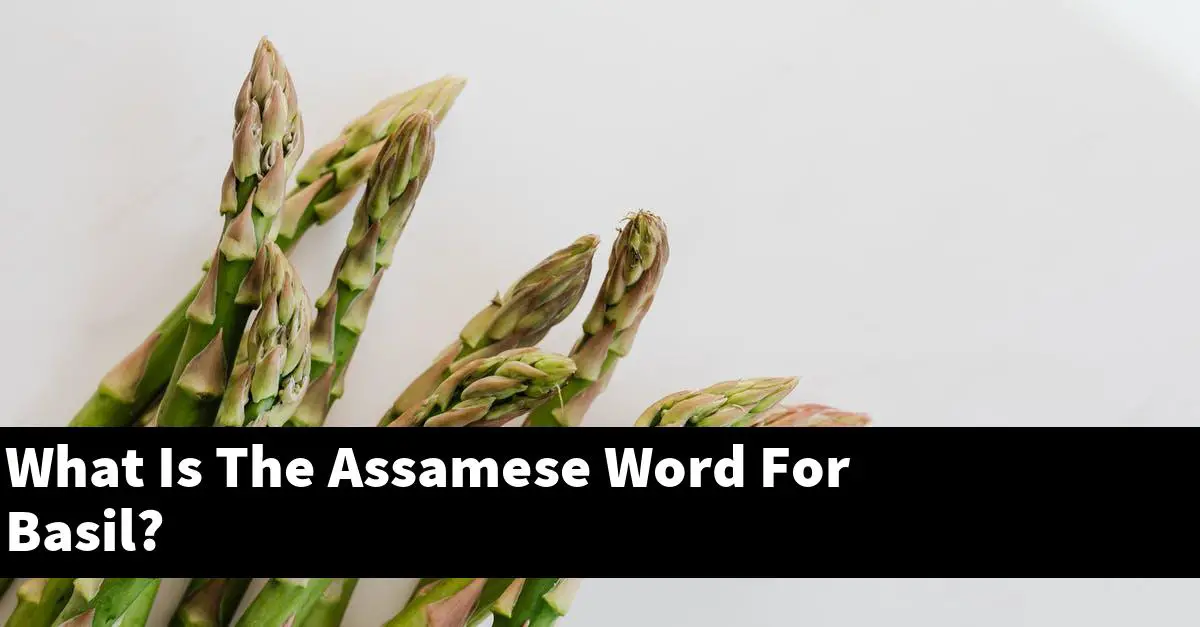 What Is The Assamese Word For Basil?