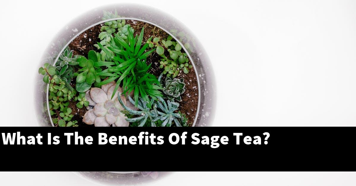 What Is The Benefits Of Sage Tea?