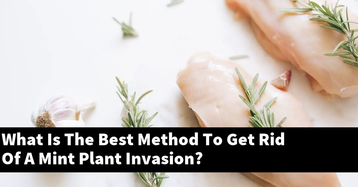 What Is The Best Method To Get Rid Of A Mint Plant Invasion?