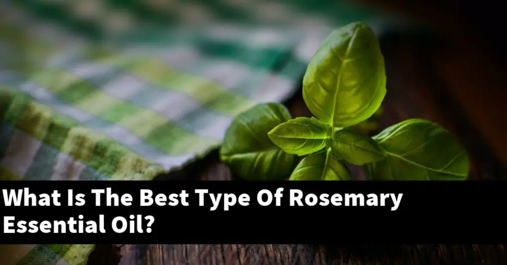What Is The Best Type Of Rosemary Essential Oil? Outdoor Herb Garden