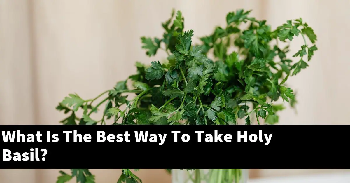 What Is The Best Way To Take Holy Basil?