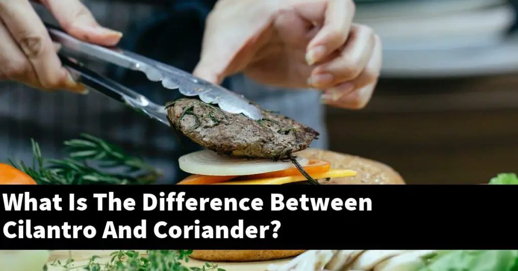 What Is The Difference Between Cilantro And Coriander? Outdoor Herb