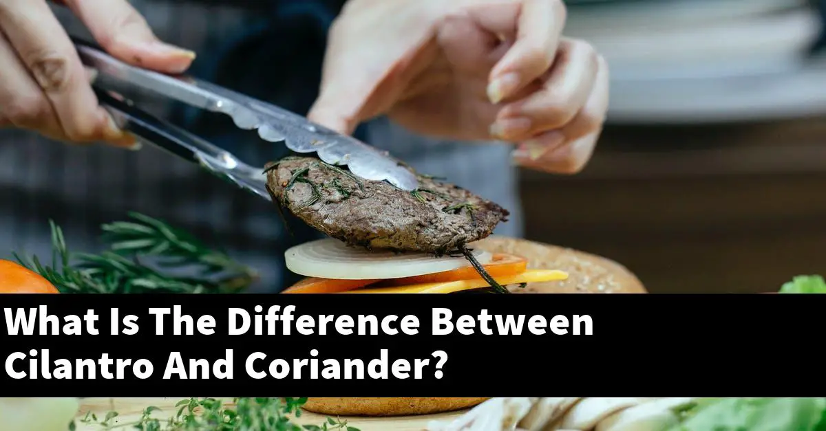 What Is The Difference Between Cilantro And Coriander?