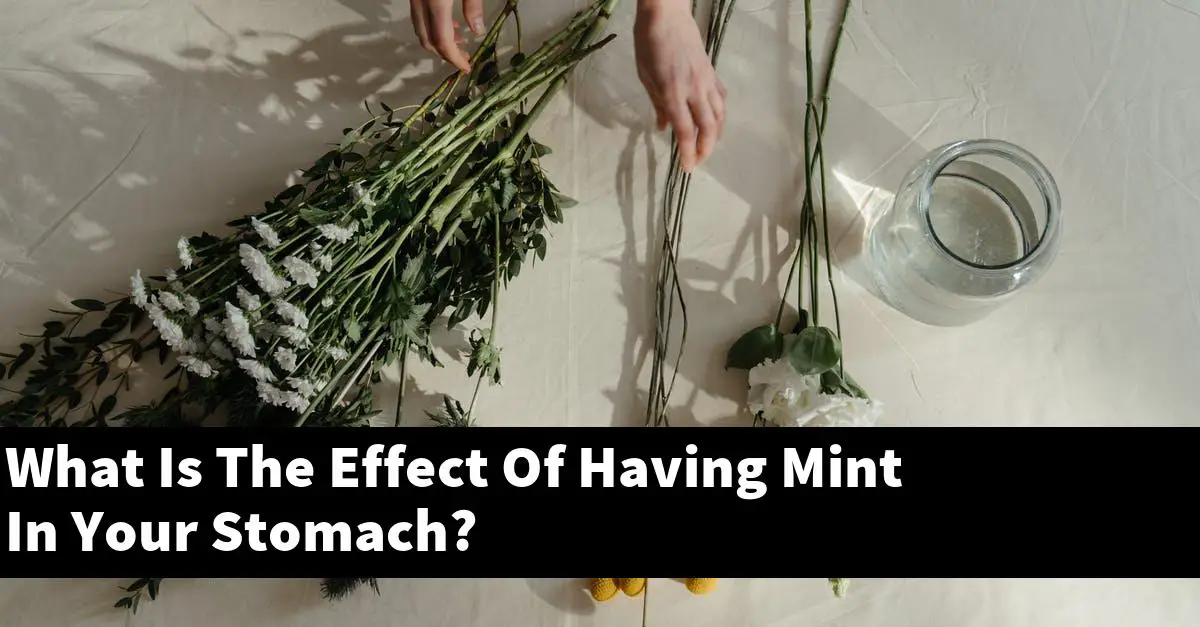 What Is The Effect Of Having Mint In Your Stomach?