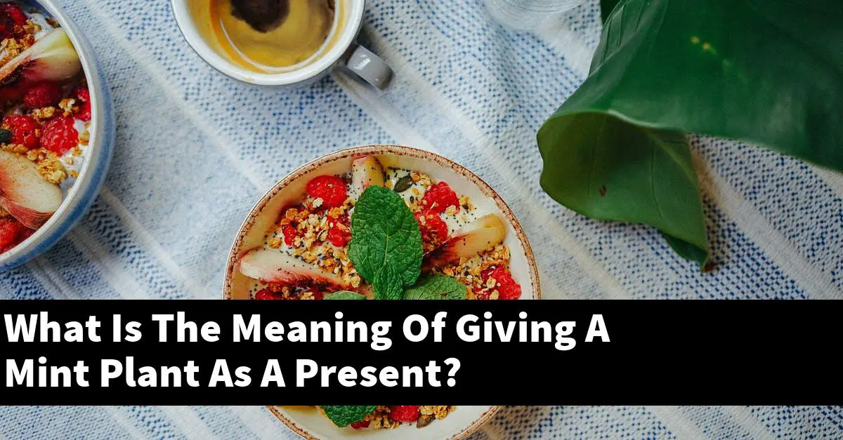 What Is The Meaning Of Giving A Mint Plant As A Present?