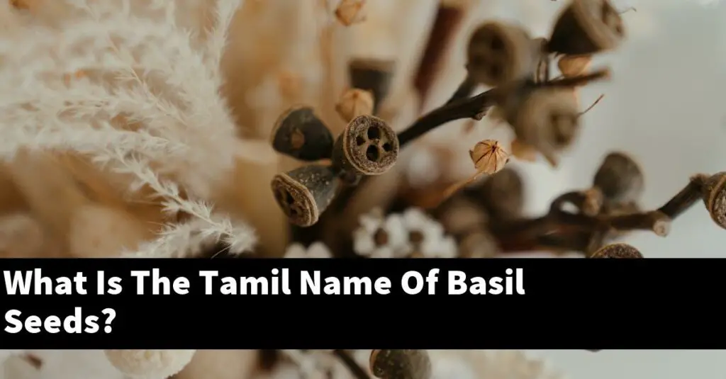 what-is-the-tamil-name-of-basil-seeds-outdoor-herb-garden