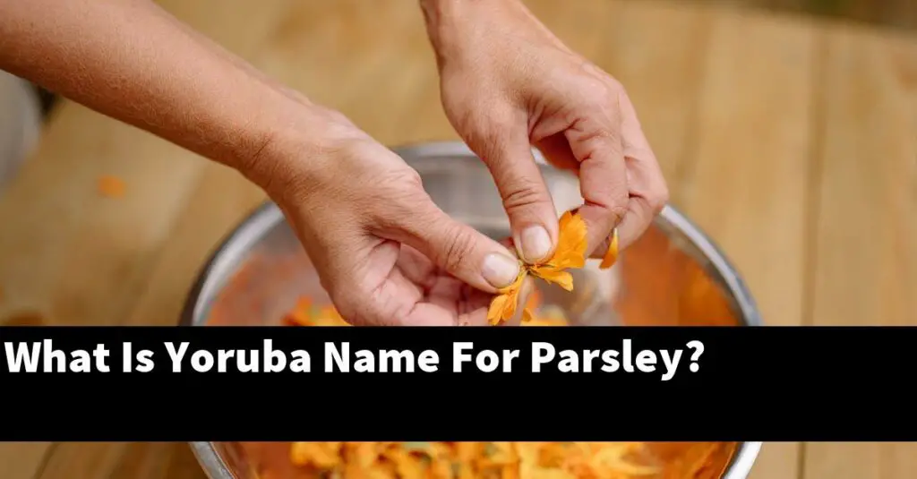 what-is-yoruba-name-for-parsley-outdoor-herb-garden