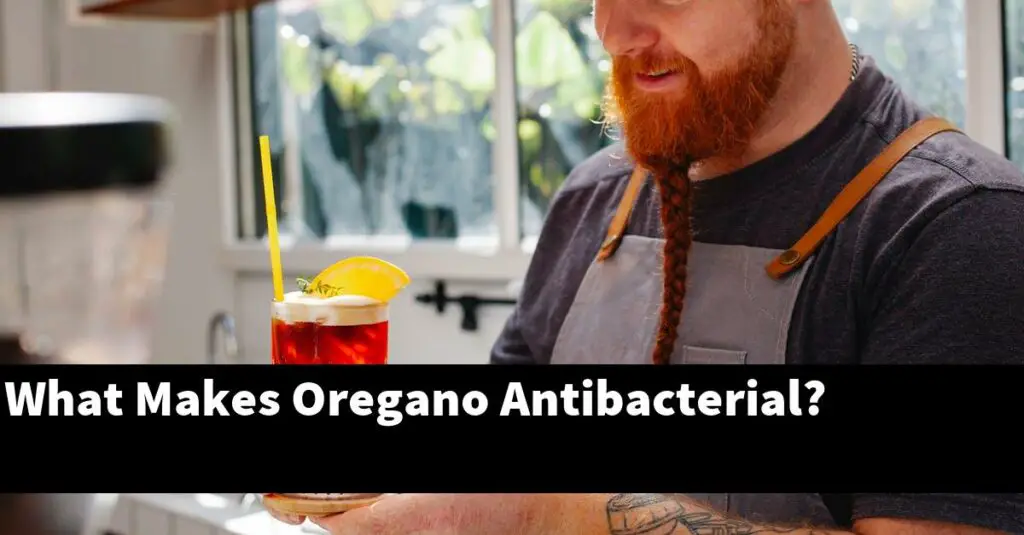What Makes Oregano Antibacterial? Outdoor Herb Garden