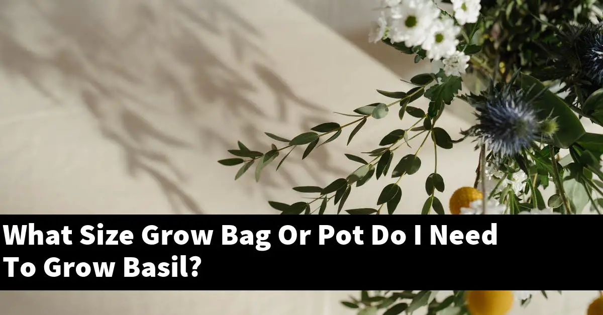 What Size Grow Bag Or Pot Do I Need To Grow Basil?