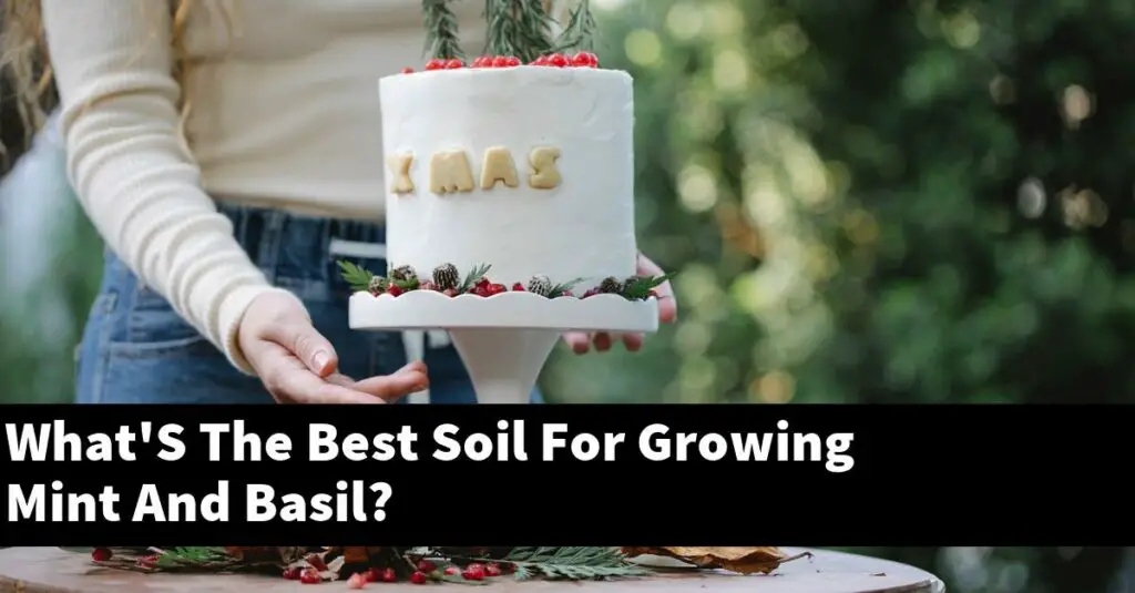 What'S The Best Soil For Growing Mint And Basil? Outdoor Herb Garden
