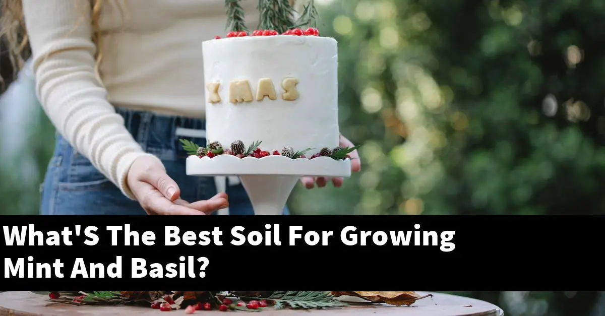 What'S The Best Soil For Growing Mint And Basil?