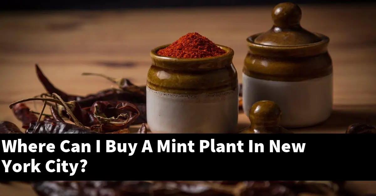 Where Can I Buy A Mint Plant In New York City?